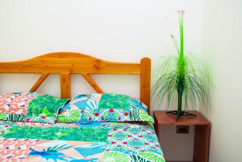 Hostal Residencial Lecher