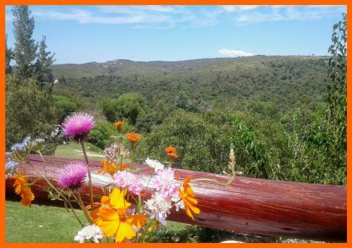 Caba�as Club Del Lago