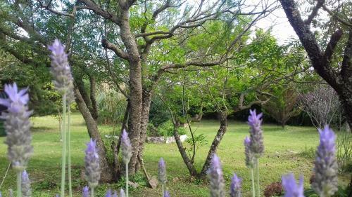 La Alquimia Casas De Campo