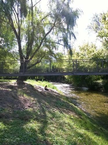 Apartamento Paloma Suite