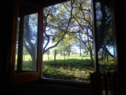 Apartamentos Los Algarrobos