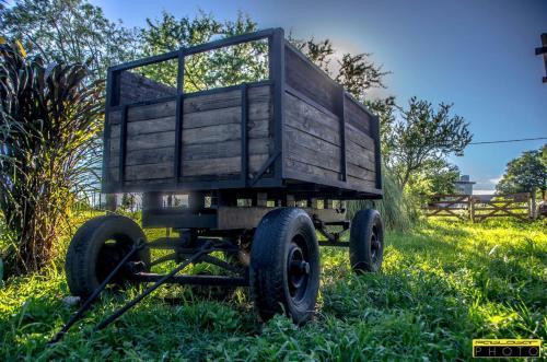Apartamentos Los Algarrobos