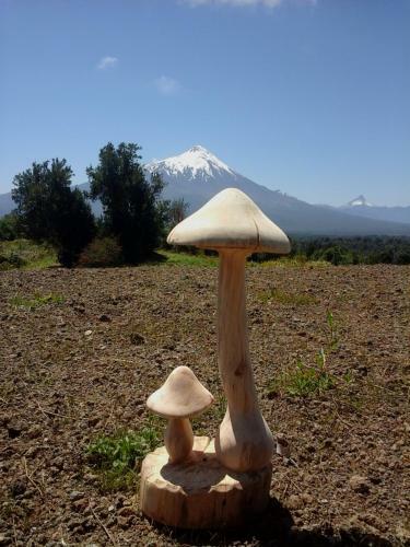 Agroturismo Topahue