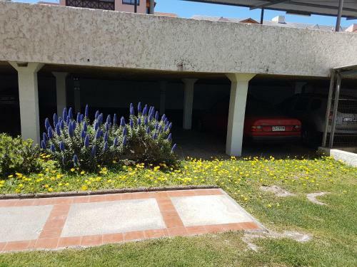 Apartamento Playa-descanso