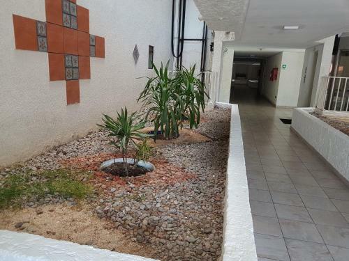 Apartamento Playa-descanso