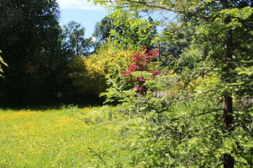 Lodge Caba�as Kalfucura