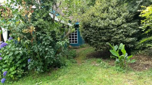 Lodge Caba�as Kalfucura