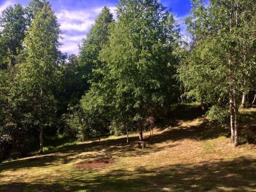 Apartamento Caba�as Brisas De Relin