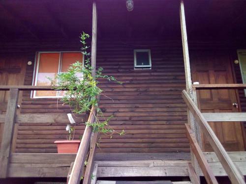 Nativo Hostal Turismo