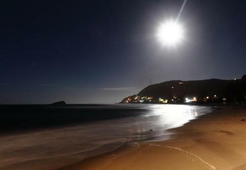 Apartamento Mar De Lobos