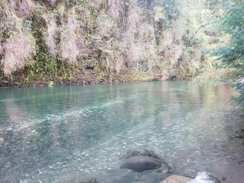Lodge Caba�as Siete Tazas