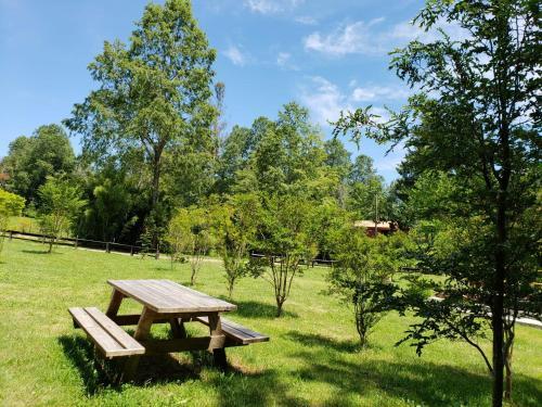 Lodge Tio Lalo