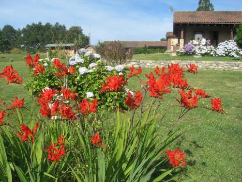 Lodge Regenbogen Bungalows
