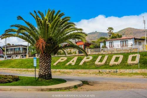 Apartamento Hayde� Lomas De Papudo IV