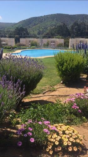 Apartamento Hayde� Lomas De Papudo IV