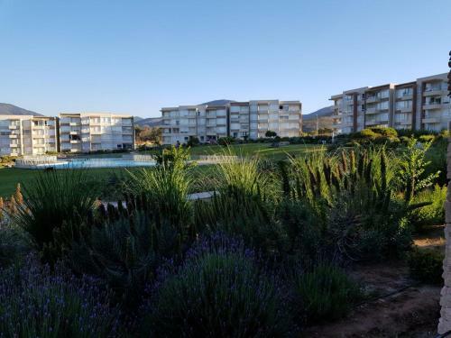 Apartamento Lomas De Papudo Departamento