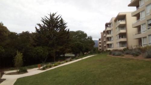 Apartamento Bosque Playa Lomas De Papudo 3