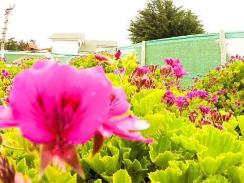 Caba�as Costa Blue