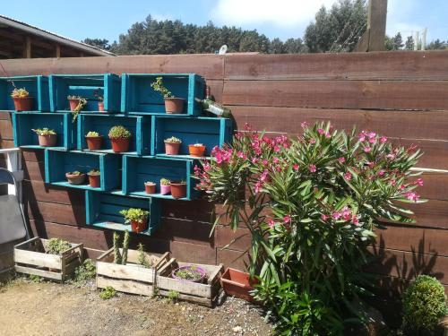 Pichilemu Caba�a Palomos