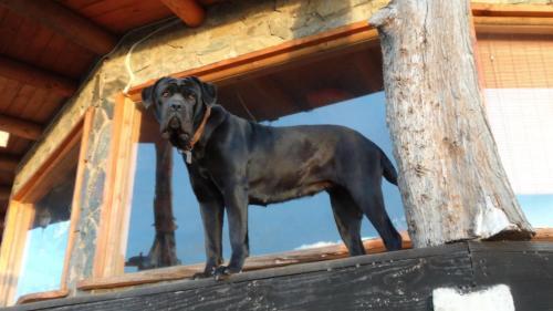 Casa Cerro La Cruz Pichilemu