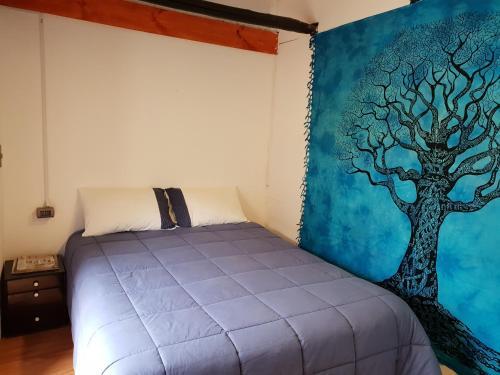 Hostal Nomad Paddle