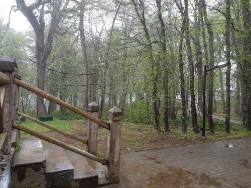 Apartamento Departamento En Termas De Chillan - Los Nirres - Depto 702