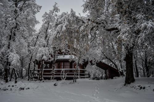 Albergue Hostal Y Caba�as Los �irres