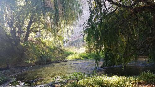 Caba�as Los Sauzales