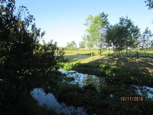 Lodge Caba�a De Agrado
