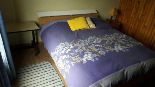Caba�as Maitencillo Sur