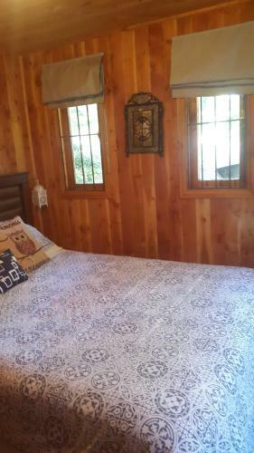Ximena's Cabin