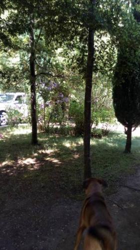 Agroturismo Parcela Nido Lleno