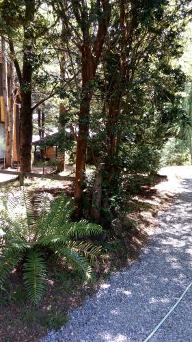Agroturismo Parcela Nido Lleno