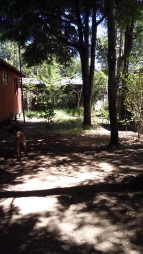 Agroturismo Parcela Nido Lleno