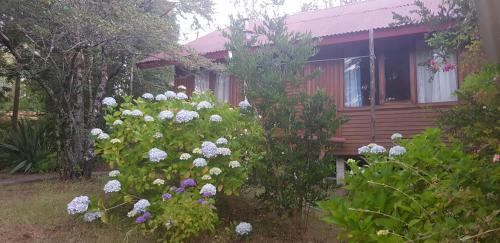 Lodge Caba�as Pomerania