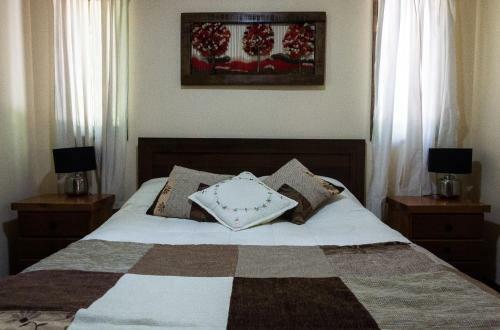 Caba�as Alto Mahuida