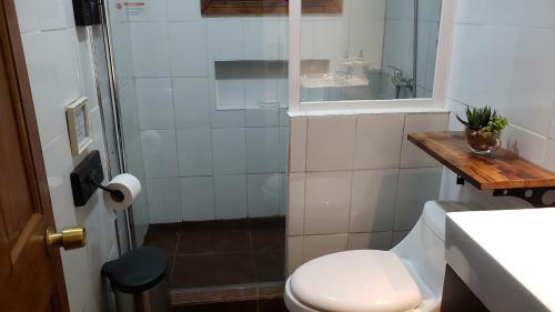 Caba�as Alto Mahuida