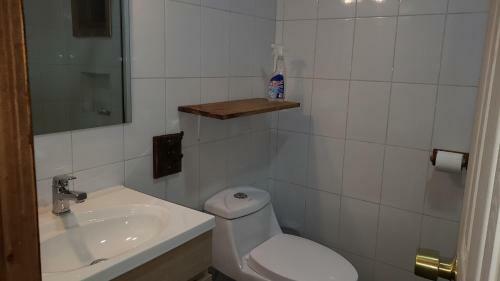Caba�as Alto Mahuida