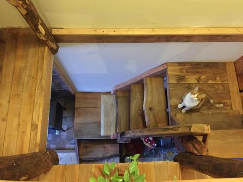 Bed & Breakfast An&gus Hostel