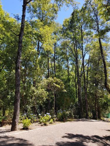 Apartamento Condominio Pucon Andino Hualles II