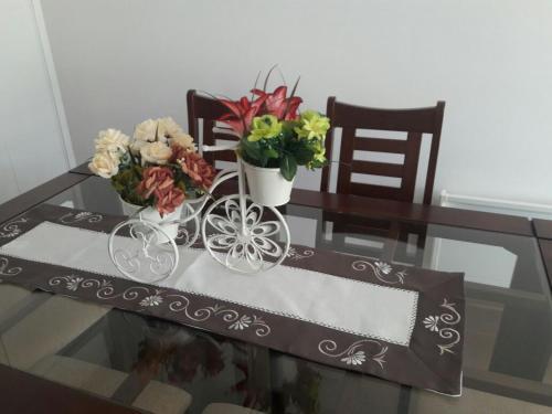 Apartamento Paillahue Pucon