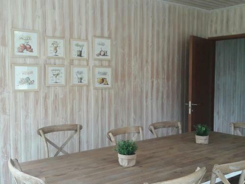 Apartamento Paillahue Pucon