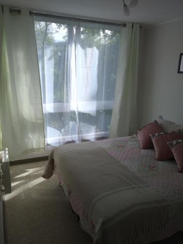 Apartamento Payllahue Pucon 308