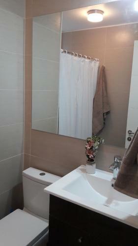 Apartamento Condominio Parque Payllahue Pucon