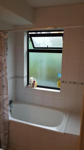 Apartamento En Pucon