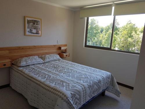 Apartamento Parque Del Volc�n Puc�n Colico