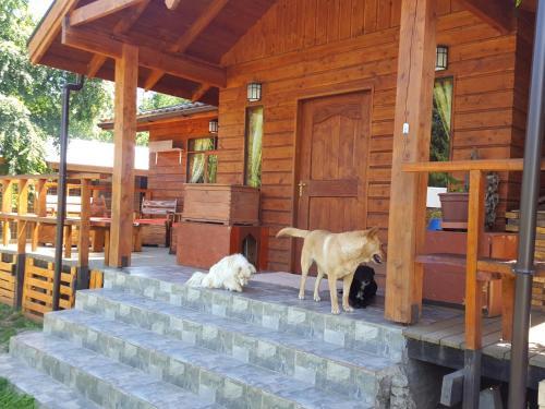 Casa -caba�a Pucon