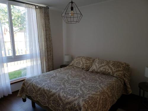 Apartamento Puc�n Departamento