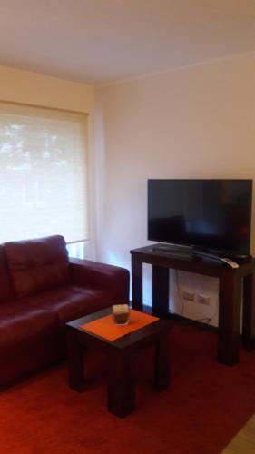 Apartamento Puc�n Andino, Depto.