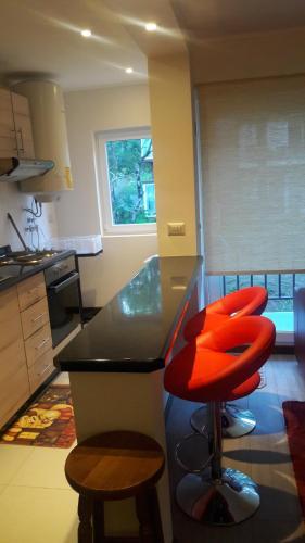 Apartamento Puc�n Andino, Depto.